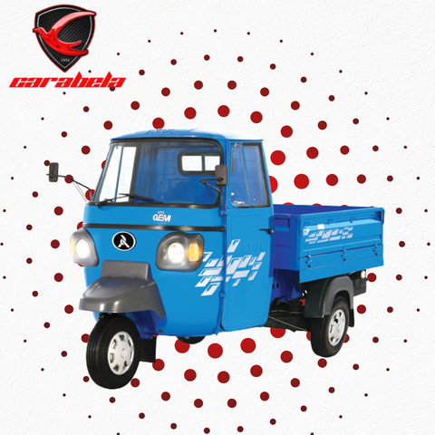 CARABELA 2025 GEM pick up