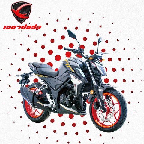 CARABELA 2025 R300Z 300cc