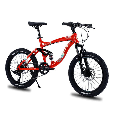 BIMEX BICICLETA DYNAMIC R20
