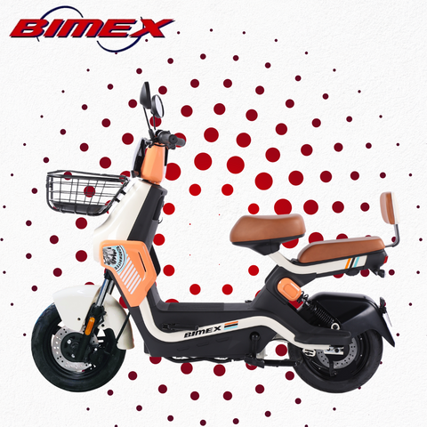 BIMEX MOTOBICI ROADMASTER