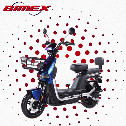 BIMEX MOTOBICI TRAVIX