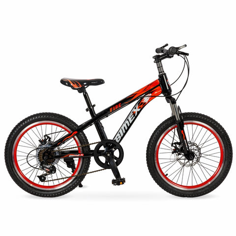 BIMEX BICICLETA FIRE R20