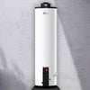 Calentador  Calorex Depósito Maximus G40 Lp